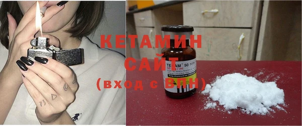 индика Богородицк