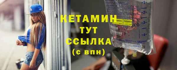 индика Богородицк