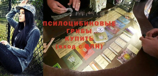 индика Богородицк