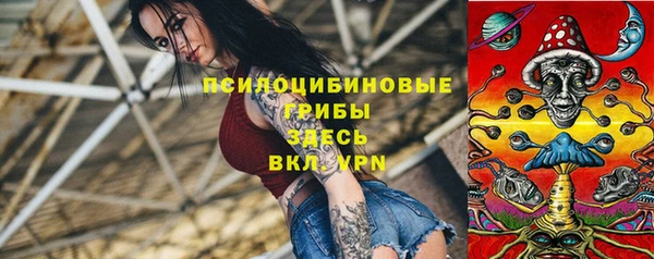 индика Богородицк