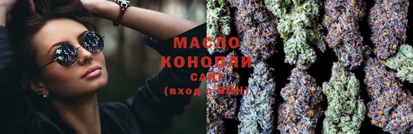 индика Богородицк