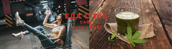 индика Богородицк