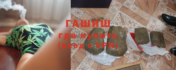 индика Богородицк