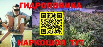 гидра Татарск