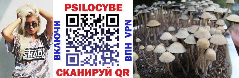 купить наркоту  Рыбинск  Галлюциногенные грибы прущие грибы 