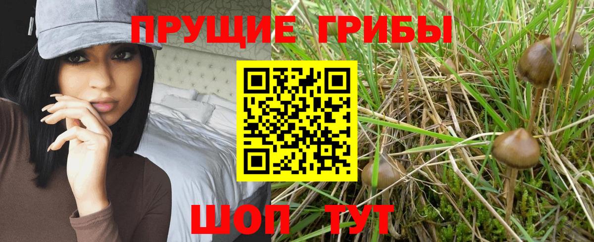 Галлюциногенные грибы мицелий Рыбинск