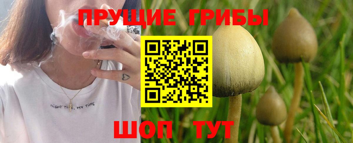 Галлюциногенные грибы ЛСД  Вход с VPN  Рыбинск 